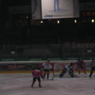 1318549.jpg
