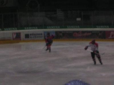1318550.jpg