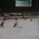 1318553.jpg