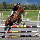 Vereinsmeisterschaft 27.-28.10.2018  - Reiterverein Rheintal