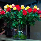 La Grande Bellezza - Aus Gazelles - 18_10_2018 _12 von 36_.jpg