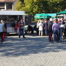 PA173789.JPG