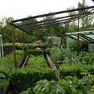 Kennelbach Lischka G DSC01766.JPG