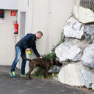 MordZellamSee_Salzburg20181021001.jpg