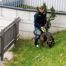 MordZellamSee_Salzburg20181021002.jpg