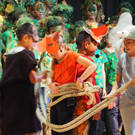 PA204267.JPG
