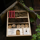 Kennelbach Lischka G DSC01770.JPG