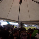 1320656.jpg