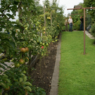 Lauterach Hirlemann G DSC01782.JPG