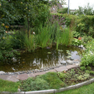 Lochau Schie__nig G DSC01805.JPG