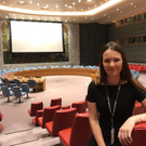 security_council.JPG