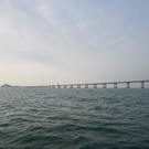AFP_1A79G7.jpg