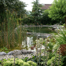 Lustenau B__sch Klaus G DSC01906.JPG