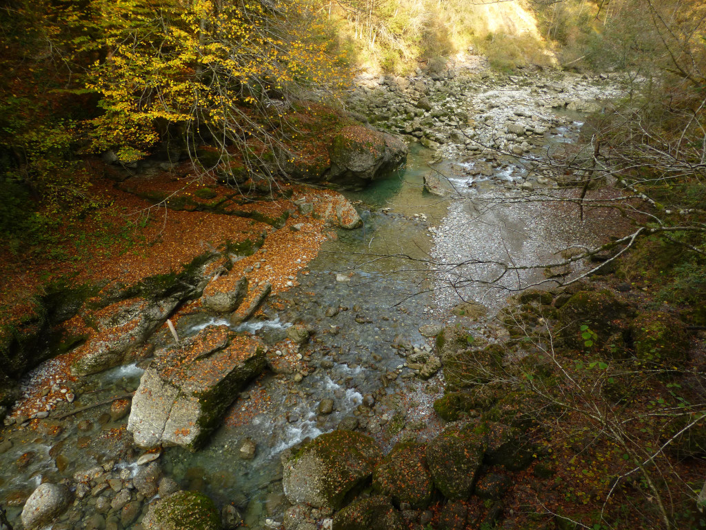 P1090263.JPG