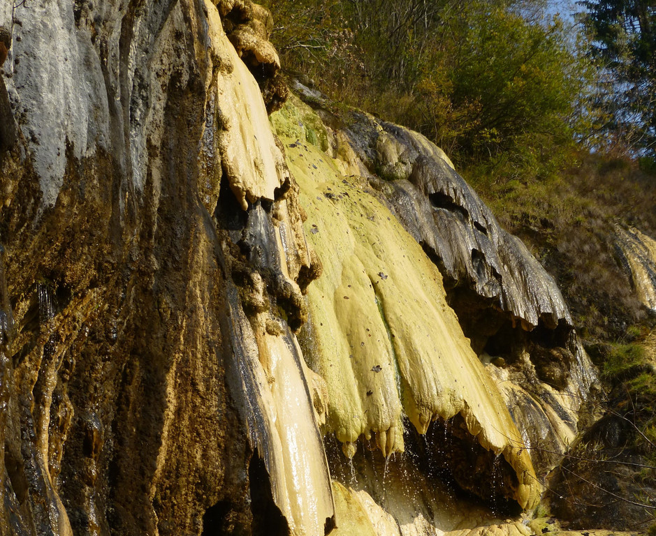 P1090285.JPG