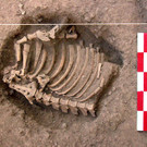 3.000 Jahre alte Menschenskelette in Peru entdeckt