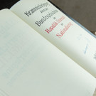 nationalfeiertag _27_.jpg