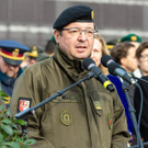 nationalfeiertag _94_.jpg