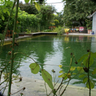 Lustenau K__nig Irmi G DSC01890.JPG