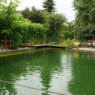 Lustenau K__nig Irmi G DSC01892.JPG