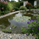 Lustenau Rhomberg G DSC01896.JPG