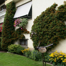 Lustenau Rhomberg G DSC01899.JPG