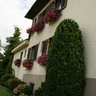 Lustenau Rhomberg G DSC01901.JPG