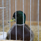 IMG_2859.JPG