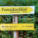 20181028_FMT_Gaisbergtrail_KJ_091 _1_.JPG