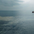 AFP_1AE6J1.jpg