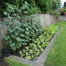 Schwarzach Mathis G DSC01923.JPG