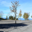 Furxstrasse 251018_5.JPG