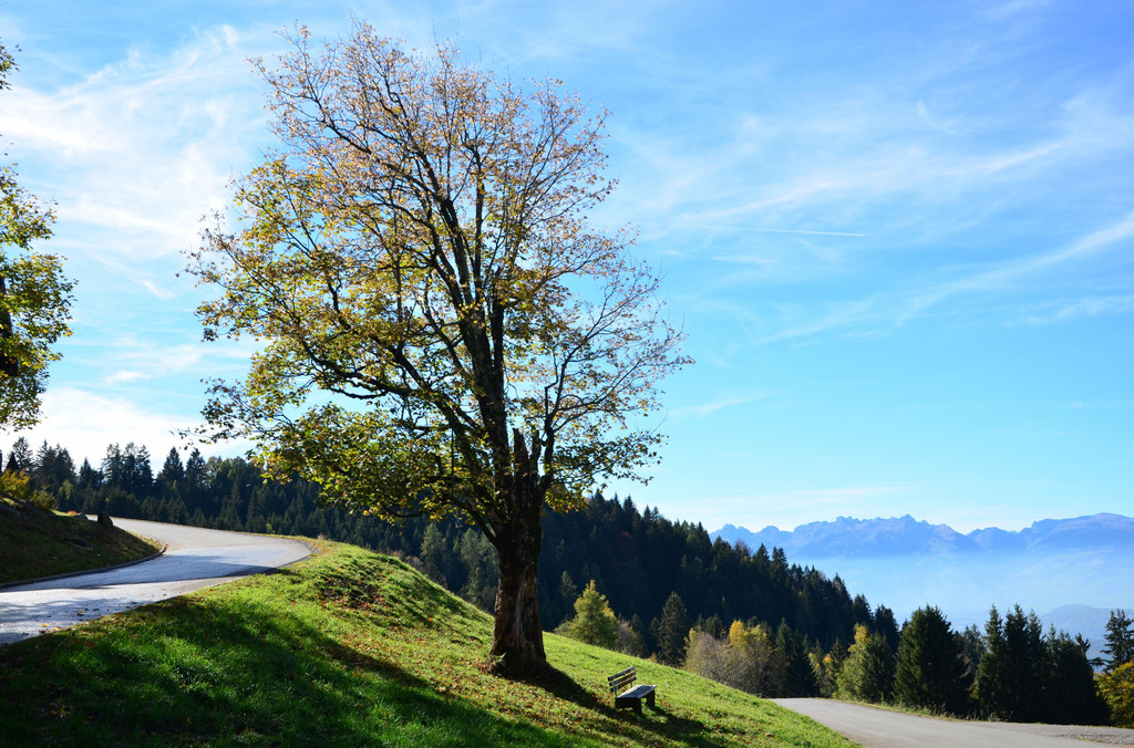 Furxstrasse 251018_11.JPG