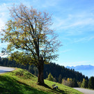 Furxstrasse 251018_11.JPG