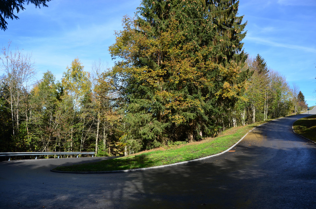 Furxstrasse 251018_13.JPG