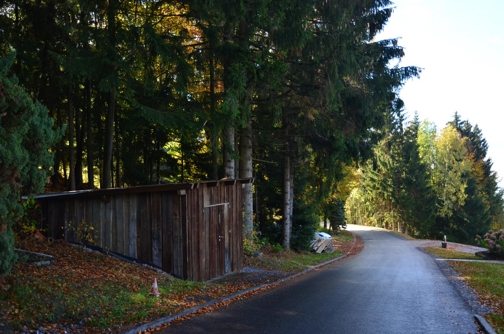 Furxstrasse 251018_24.JPG