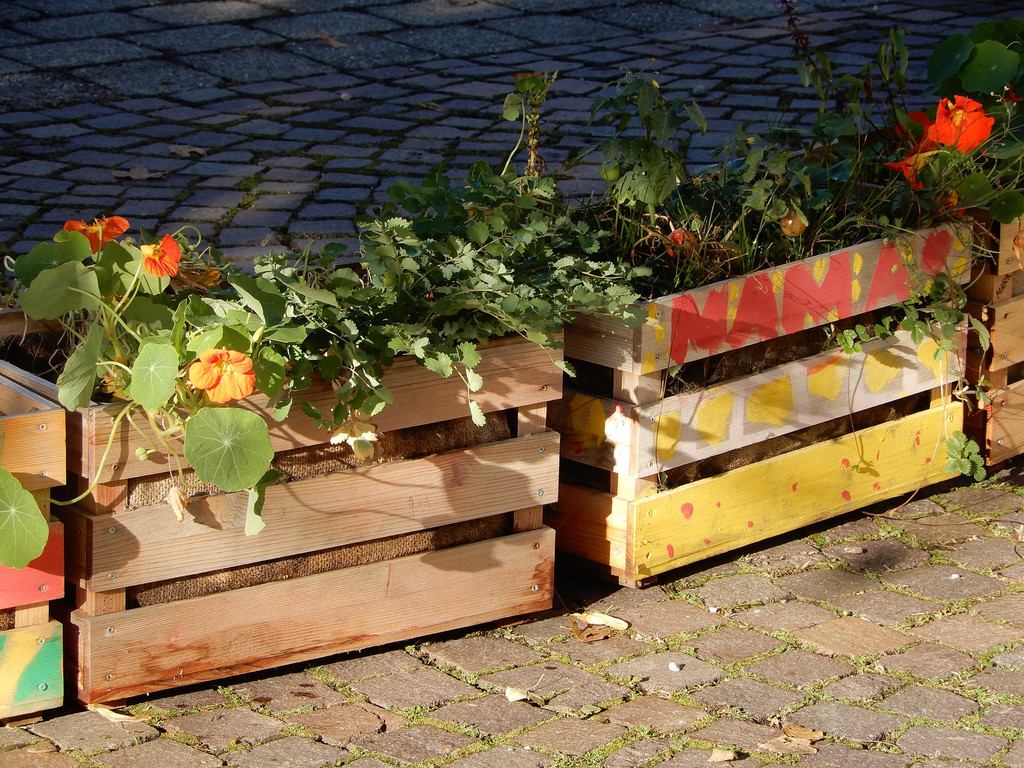 Oktober 29 030.JPG