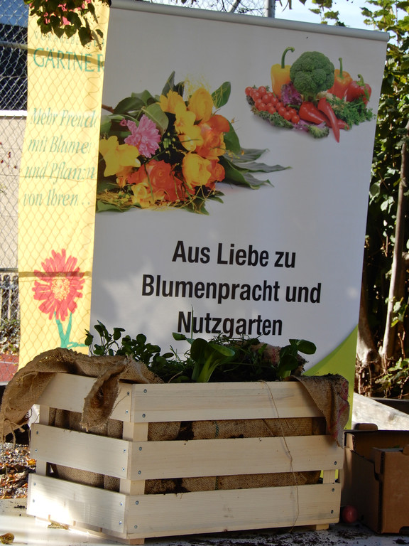 Oktober 29 052.JPG