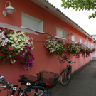 Schwarzach Mostparadies G  DSC01930.JPG