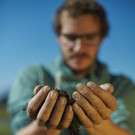 Wenn das Grün verschwindet...
