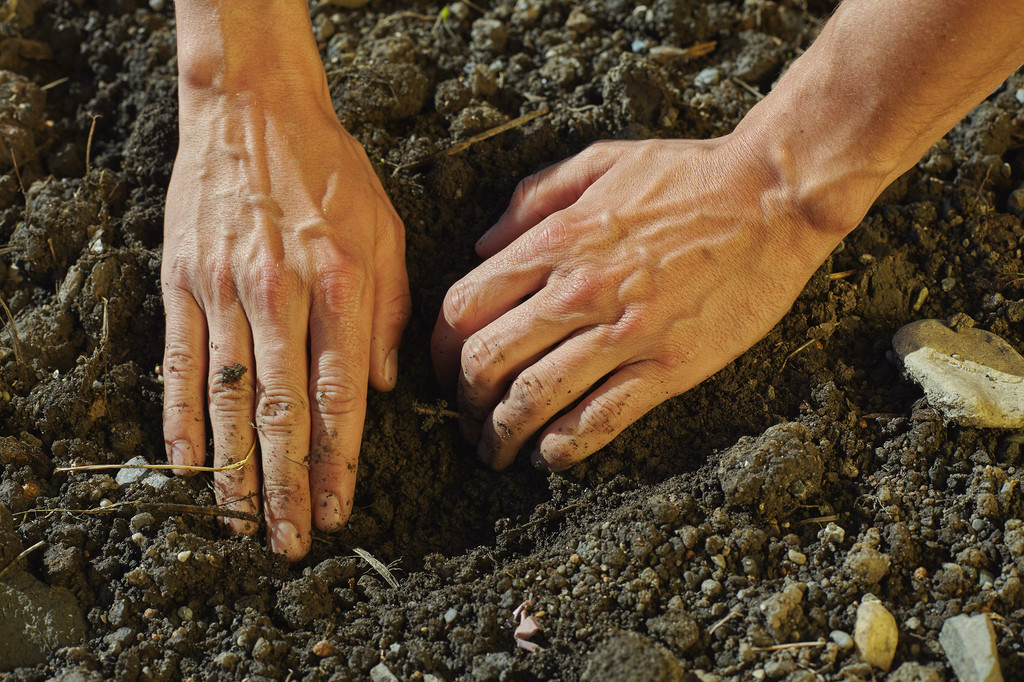 Copyright APPARAT LUX _3_.jpg