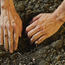 Copyright APPARAT LUX _3_.jpg