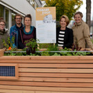 Dornbirn_at_Essbare Stadt.JPG