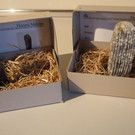 PA275446.JPG