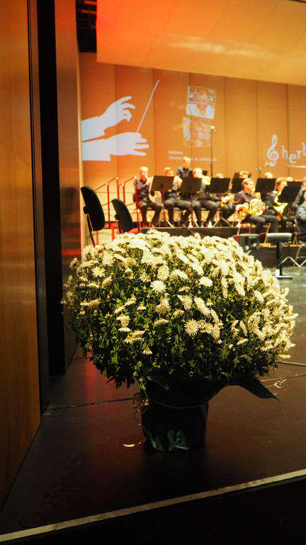 PA275862.JPG