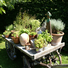 Bludenz Lutz G  _3_.JPG