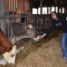 Hoffest Margreitterhof _18_.jpg