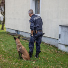 20181031_fmt_ueberfall_brieftraegerin_mw-11.jpg