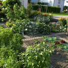 Feldkirch Dobler G .JPG