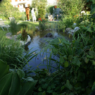 Feldkirch Dobler G  _3_.JPG